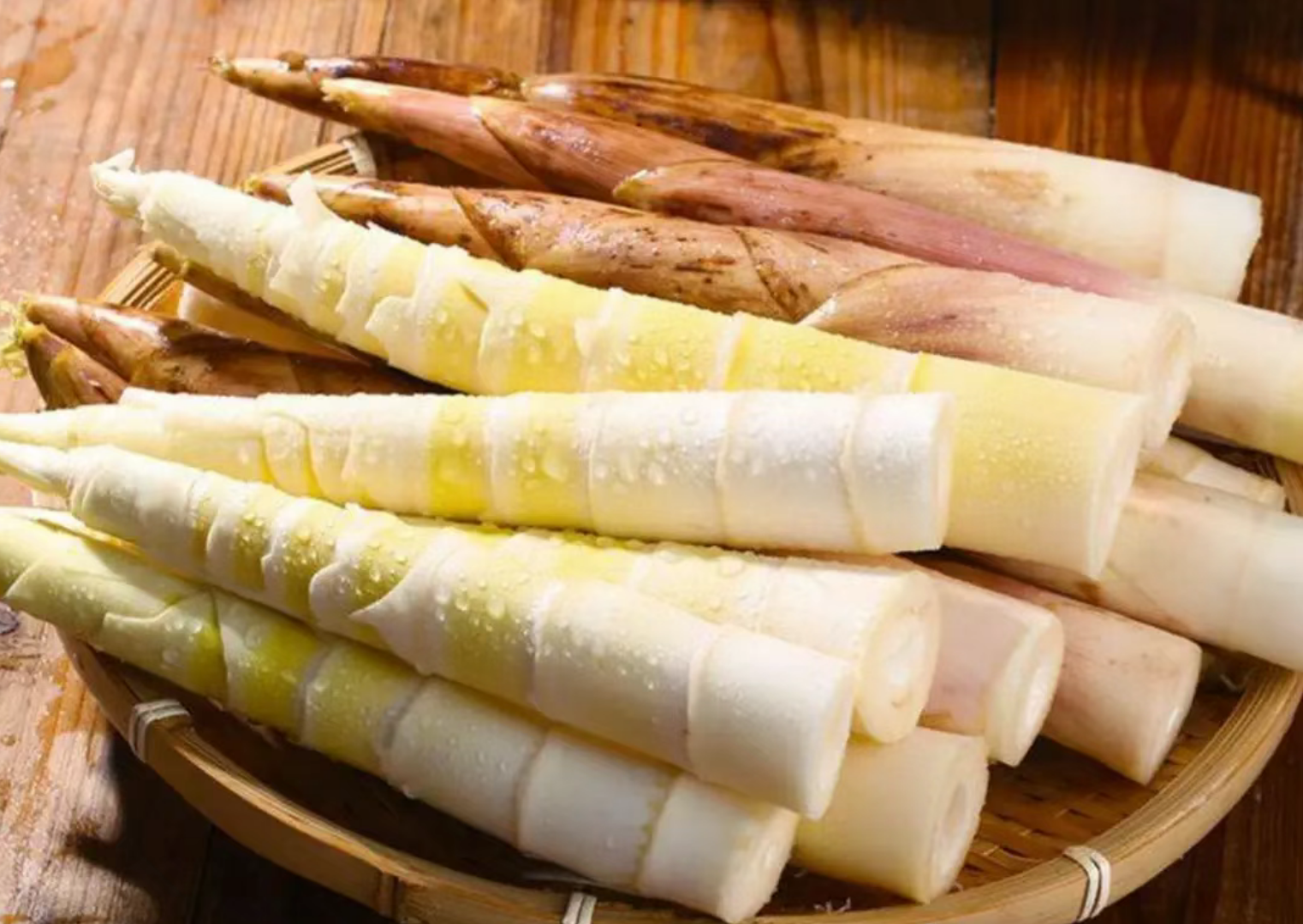 b70c2a6d5ce7c2a844ada60041e9e6aa b70c2a6d5ce7c2a844ada60041e9e6aa