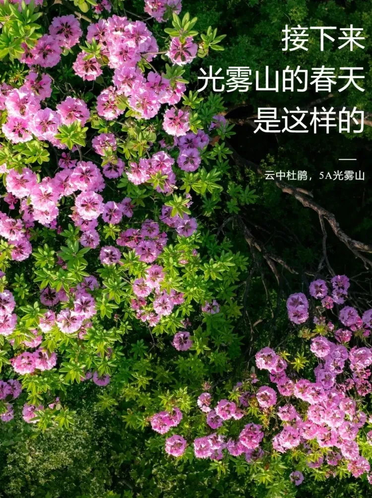 b77171ff0fe846ae3efab0ec5a820358-sz_425492 b77171ff0fe846ae3efab0ec5a820358-sz_425492