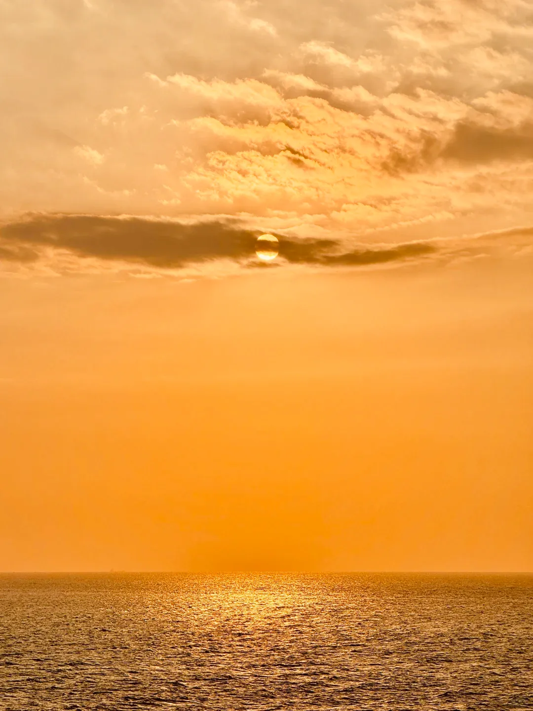 b7aa3c453c41e056a13a5633688d4a5a-sz_1237619