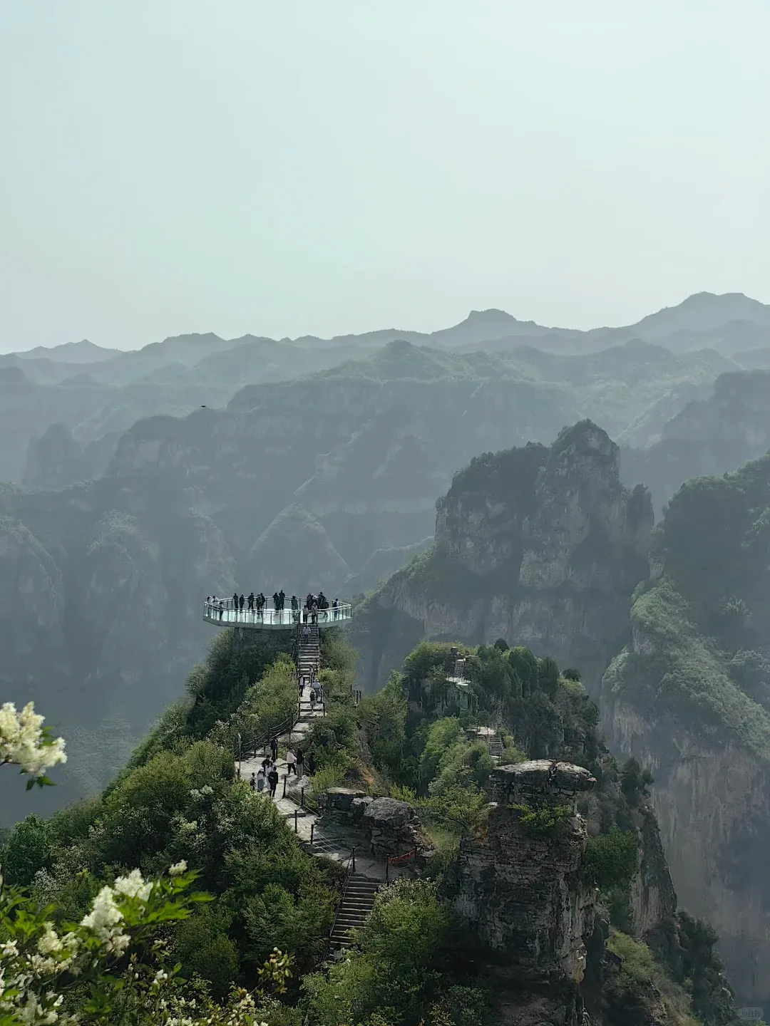 b7da92f89c4071080c7e20d7ad1b1409-sz_1564302