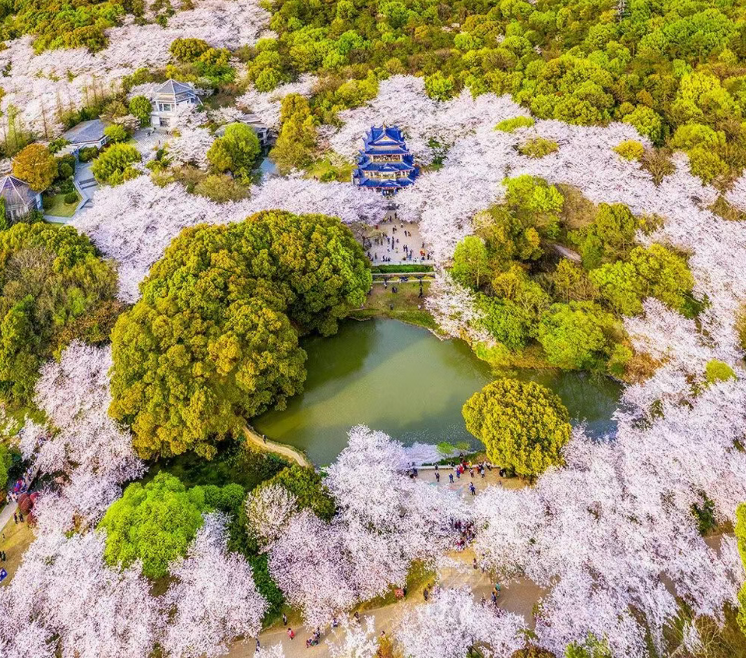 b81f1a5a20c79b806f59fb12888066ce