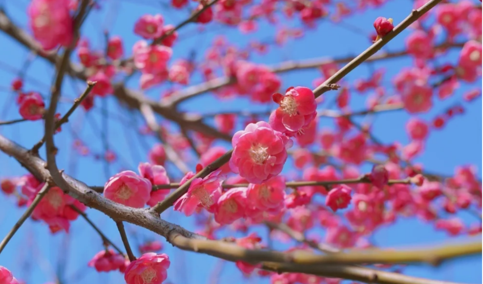 b824857a34c308c937e537a3e7178a86