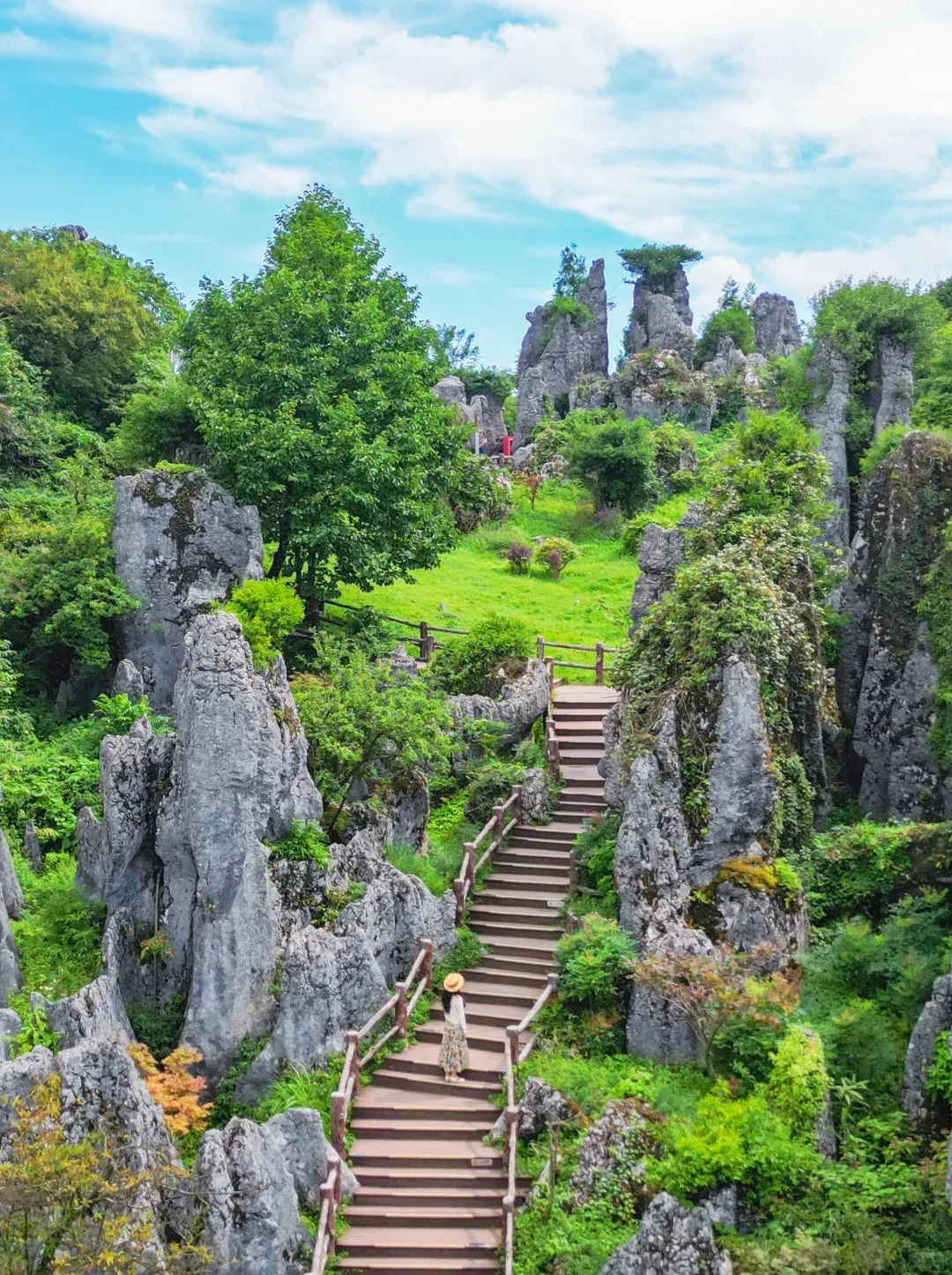 b8fb0bba3405a9b85170d47b573dfe51-sz_3072811