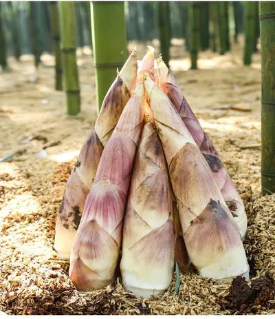 b9329ac671ab0dec630c7fb4028e4b23-sz_53647 b9329ac671ab0dec630c7fb4028e4b23-sz_53647