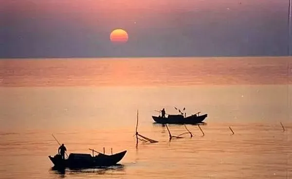 b979efb4b7105a2bd1236e226b824e77-sz_20465