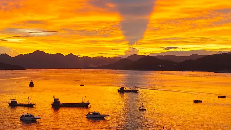 b9851dcf6dca4d17209d45dd908a4c8d-sz_3382803