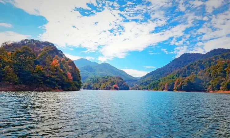 b9ddb775121220cfbd4d18577b130ce9-sz_193312