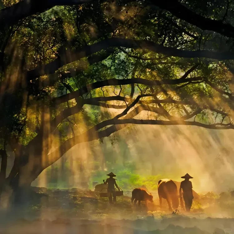 b9e7cb5daab017999e06ce82913f5791-sz_2077139