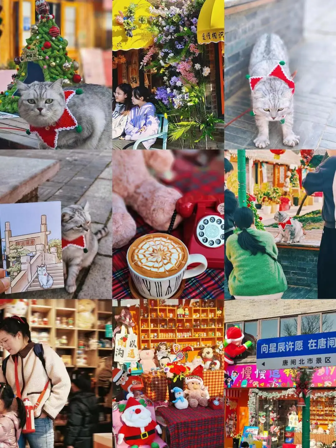 ba053e5572140470414264ef8851ecbb-sz_312214