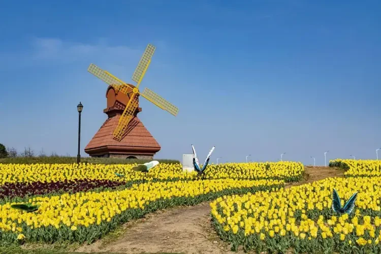 ba0d204d6c015b749105a7383e66f366-sz_129493 ba0d204d6c015b749105a7383e66f366-sz_129493