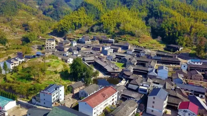 ba10273e458a4993cfa3b1d6cbf603c3-sz_377324