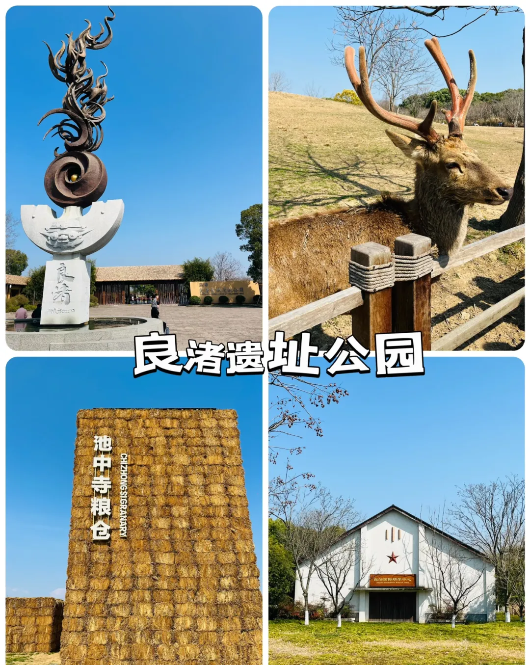 ba321e39e08b288415069413ded5b87e-sz_2007190