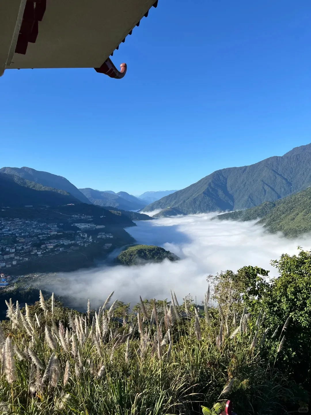 ba5a488a174d0d604199901ef92e7aa2-sz_437298