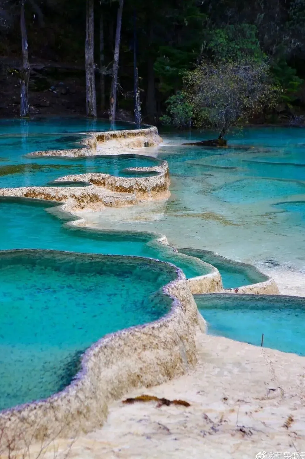 ba66f07128a57025f0e538ca2ccc8fbd-sz_223301