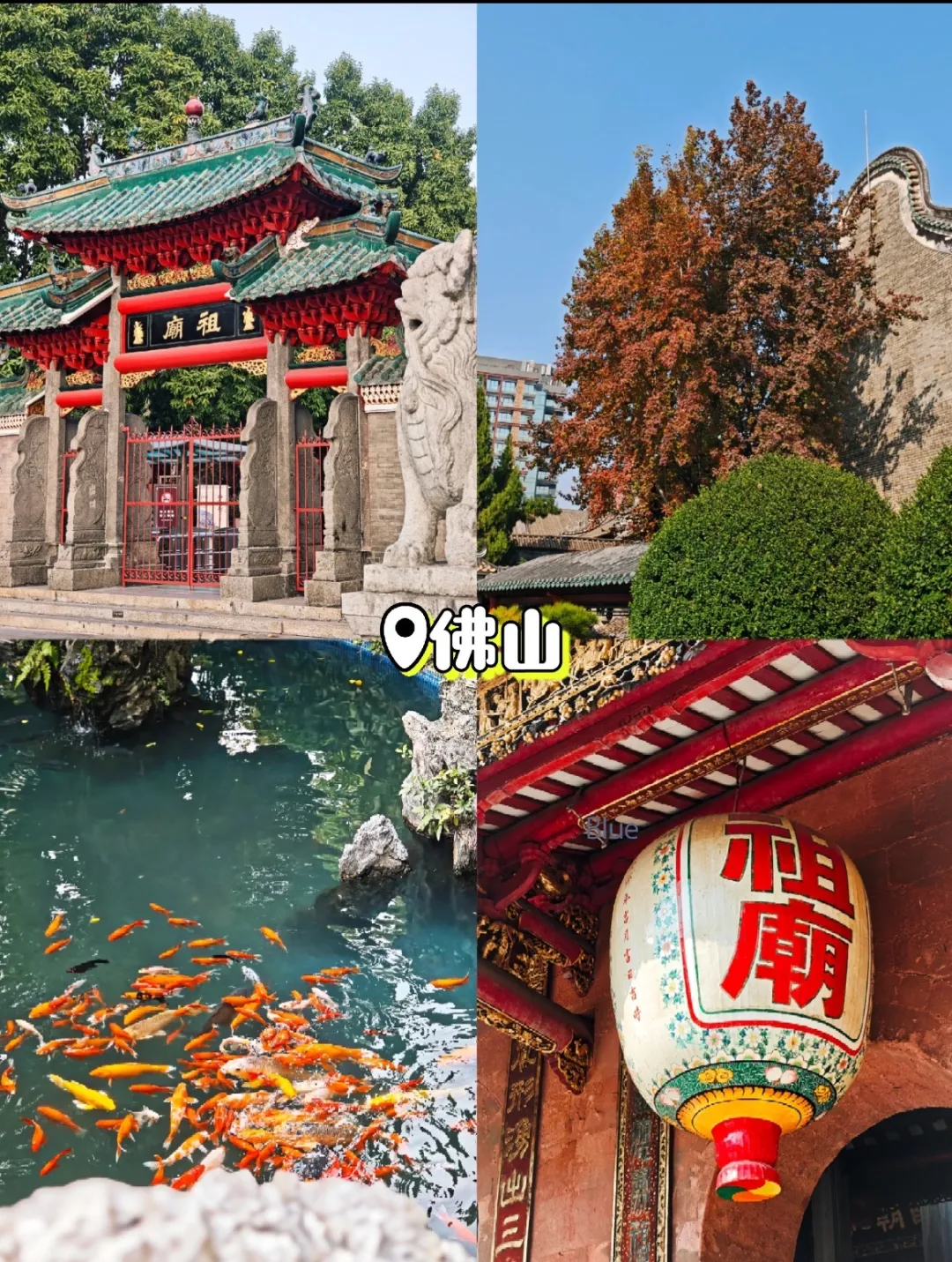 bac49a5fa4db9bbf246cdcd4ce42118e-sz_783434