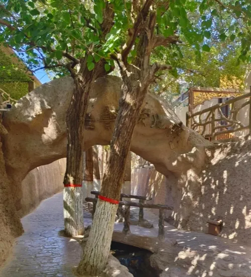 bb1c986593d344e57e85214e125760f8-sz_328238