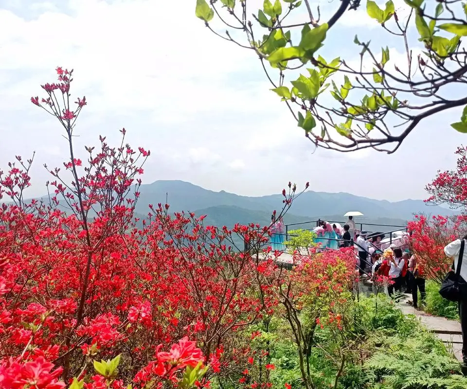 bb3dbb07d93fce484c410d245165812d-sz_205790