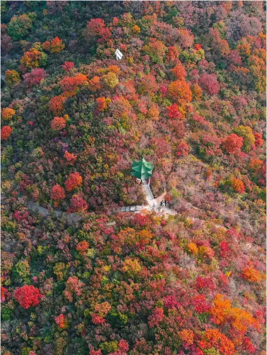 bb513e32b39bef8c97343806c6821107-sz_1216405