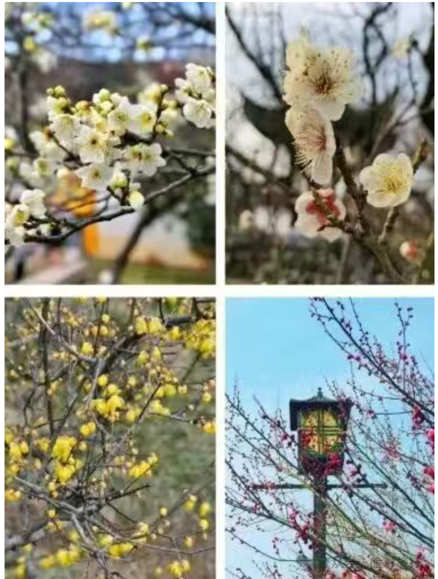 bb9e3af41bf6b33d4ade0172b8a7db53