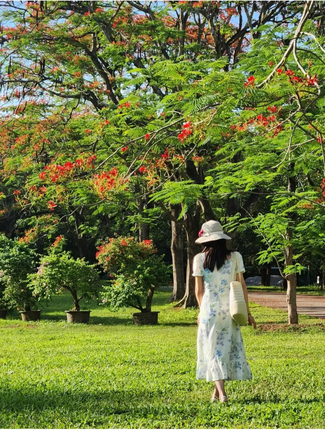 bba1e474b53a400298131da277f9cc49-sz_831658