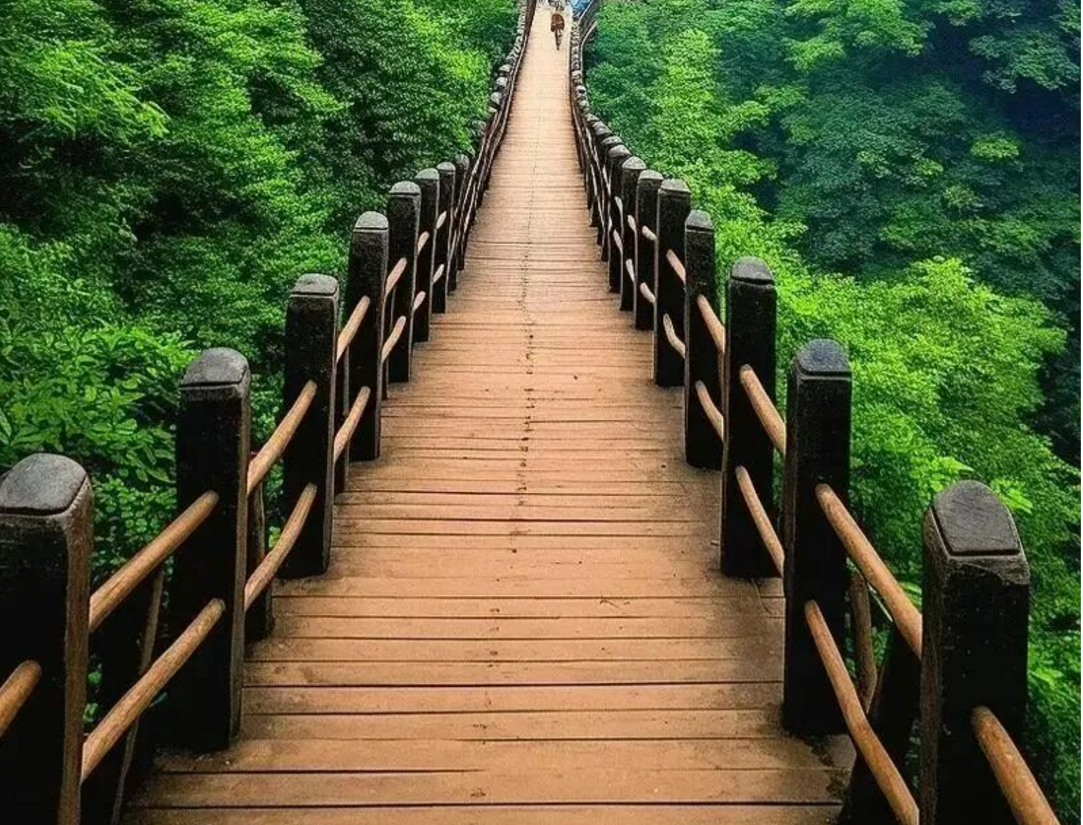 bbaa8d67889d75be01db629a3f24b809