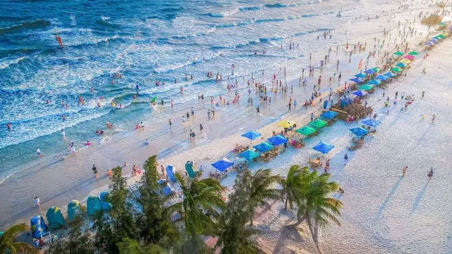 bc0117f83fe7248ac8a25d086586bc6e-sz_279797