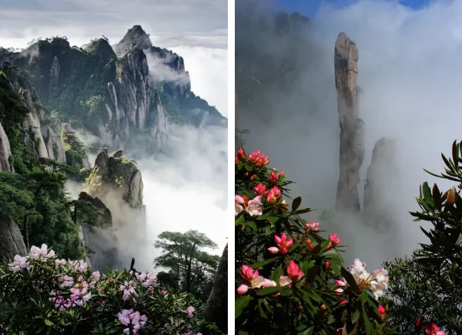 bc1efb330a53c97b6c215ad5b7b6c113-sz_753915