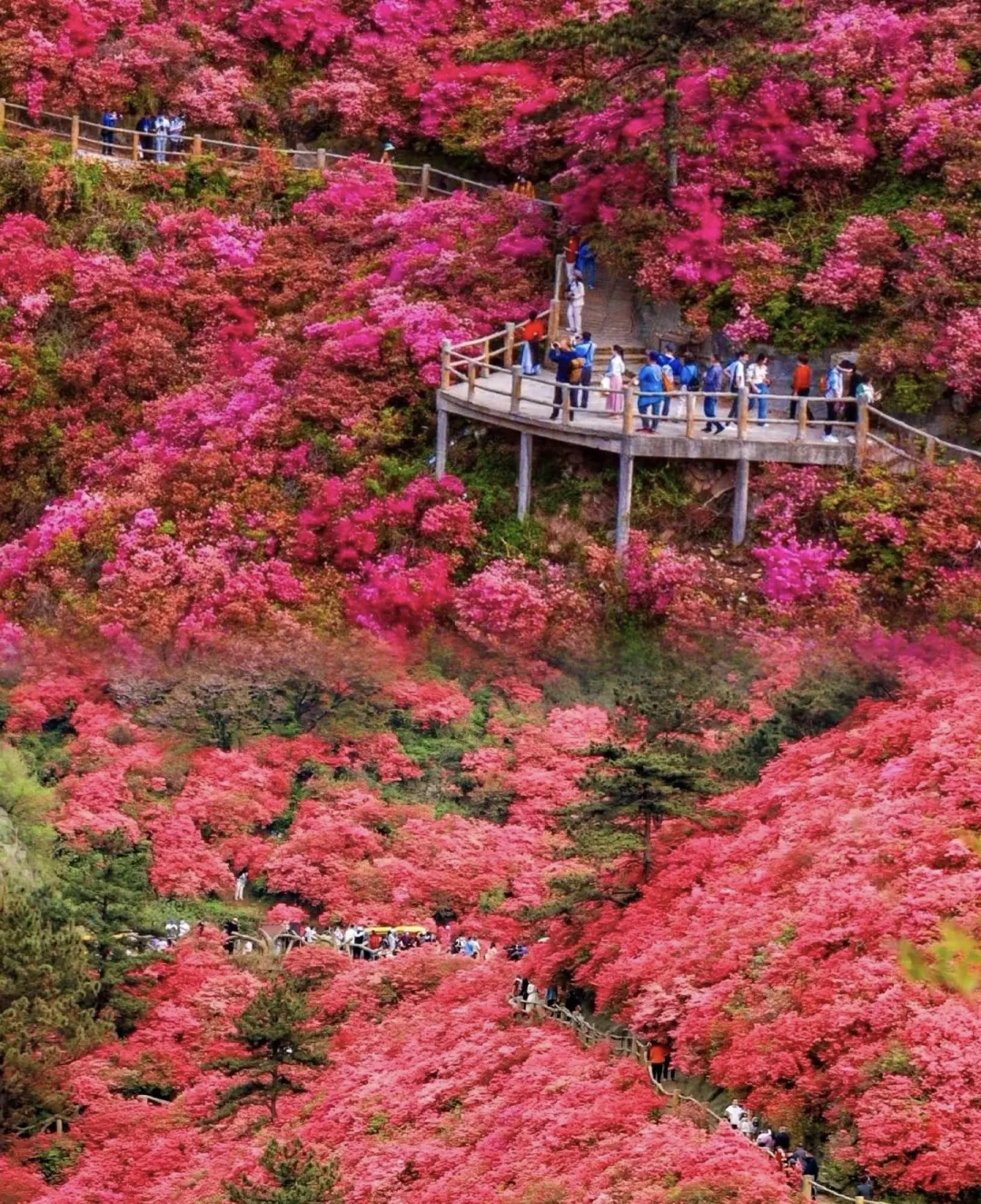 bc3616d866c7add6cccb0c639c4c1fe5-sz_1212889 bc3616d866c7add6cccb0c639c4c1fe5-sz_1212889