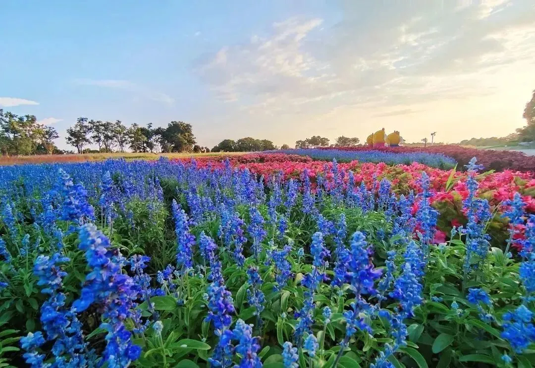 bc72887b9910ca5d313003fd7b5296b3-sz_191467 bc72887b9910ca5d313003fd7b5296b3-sz_191467