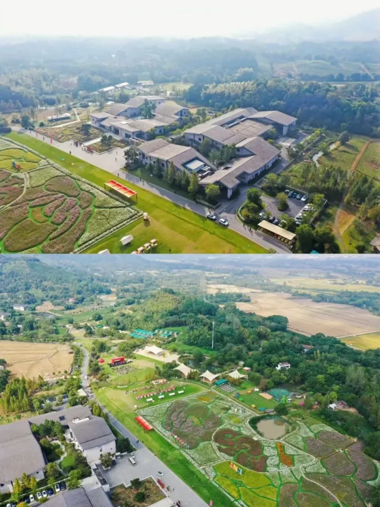 bc75f12ef0616daf6f80e17ac131fe41-sz_2761045