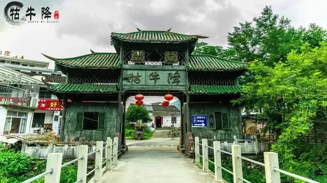 bcf0dbfe96b1e4061fa518f9f0472bed-sz_82498