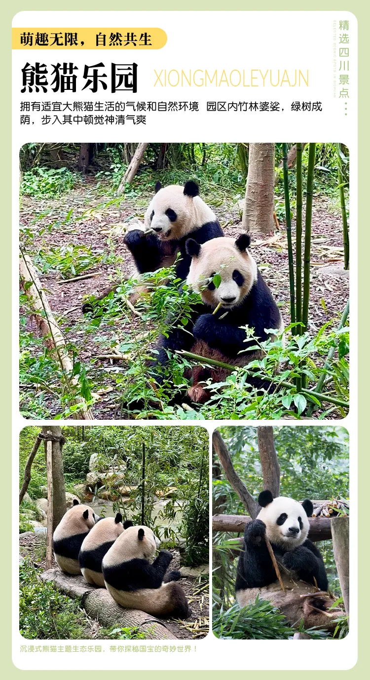 bd192d2b5dfb0e675778487325786d0c-sz_1083707 bd192d2b5dfb0e675778487325786d0c-sz_1083707