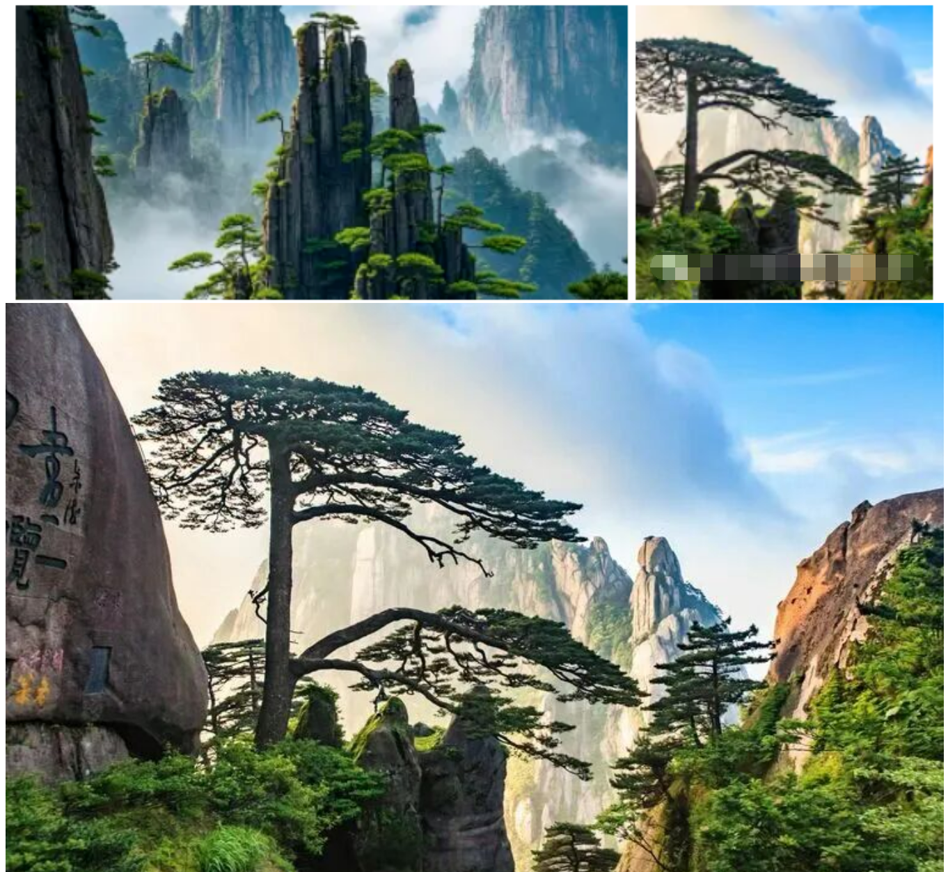 bd51a064214452d7978f1b4d7db3097d