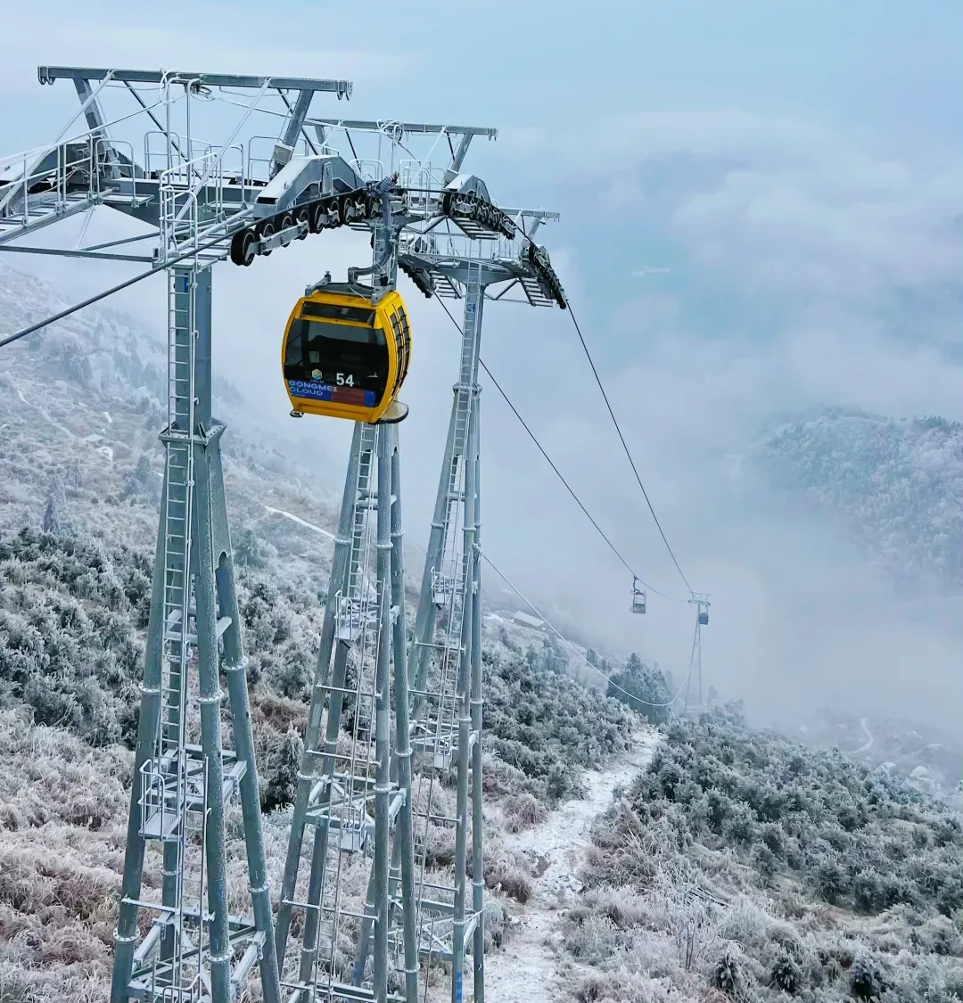 bdb3bae4de165db2441a5df9364ad2f0-sz_2321619