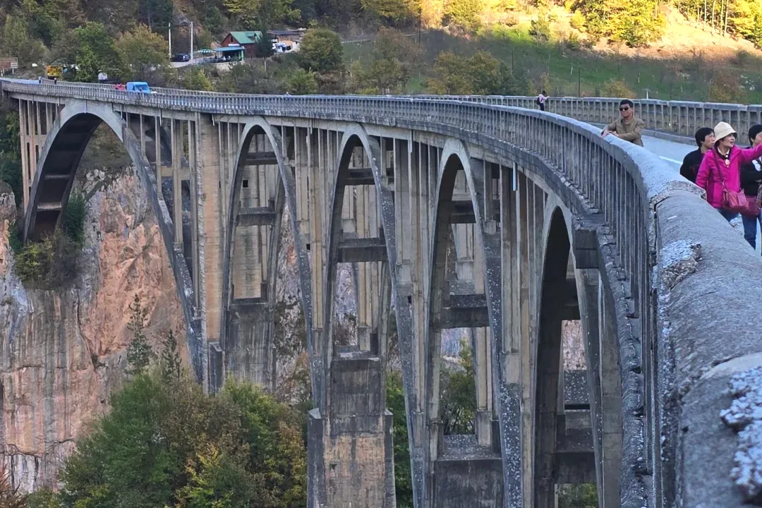 bdb3d80cec55b16a3b31b9c97824a2b8-sz_4140285-1