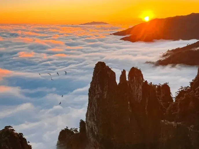 bdedfbdf52d0d07b1d4fc673b3720989-sz_436497