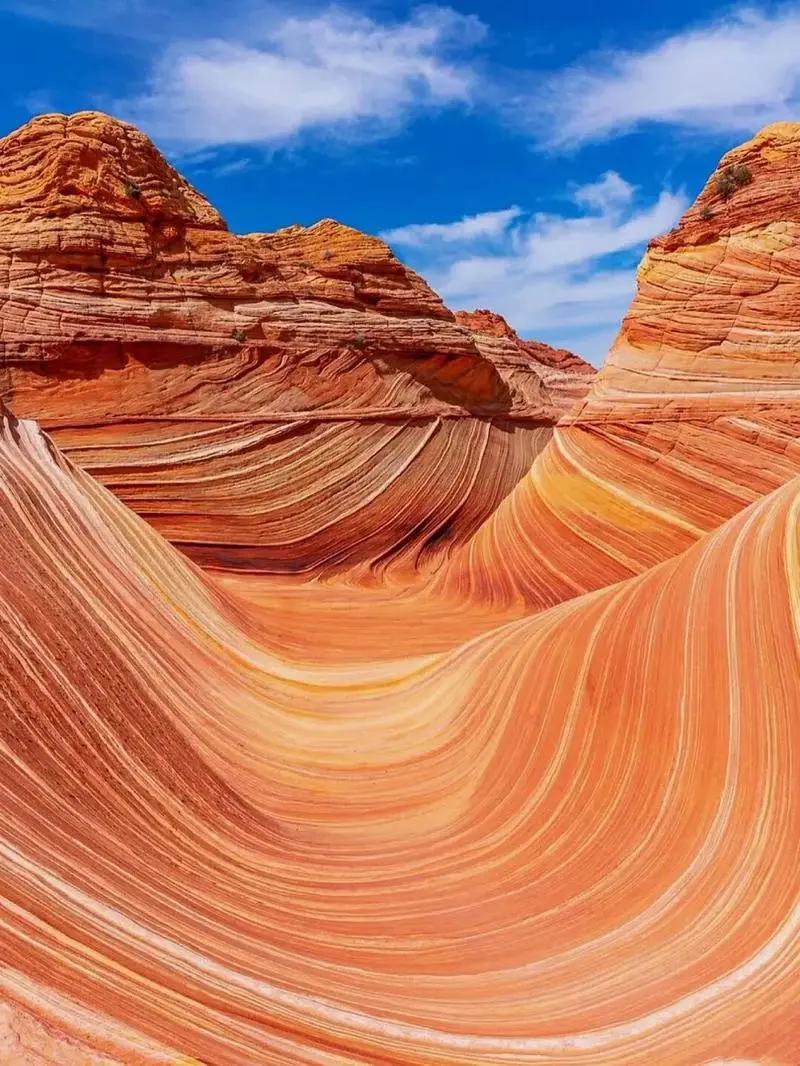 bdf68b42870cd62b97c44533496eb199-sz_159279