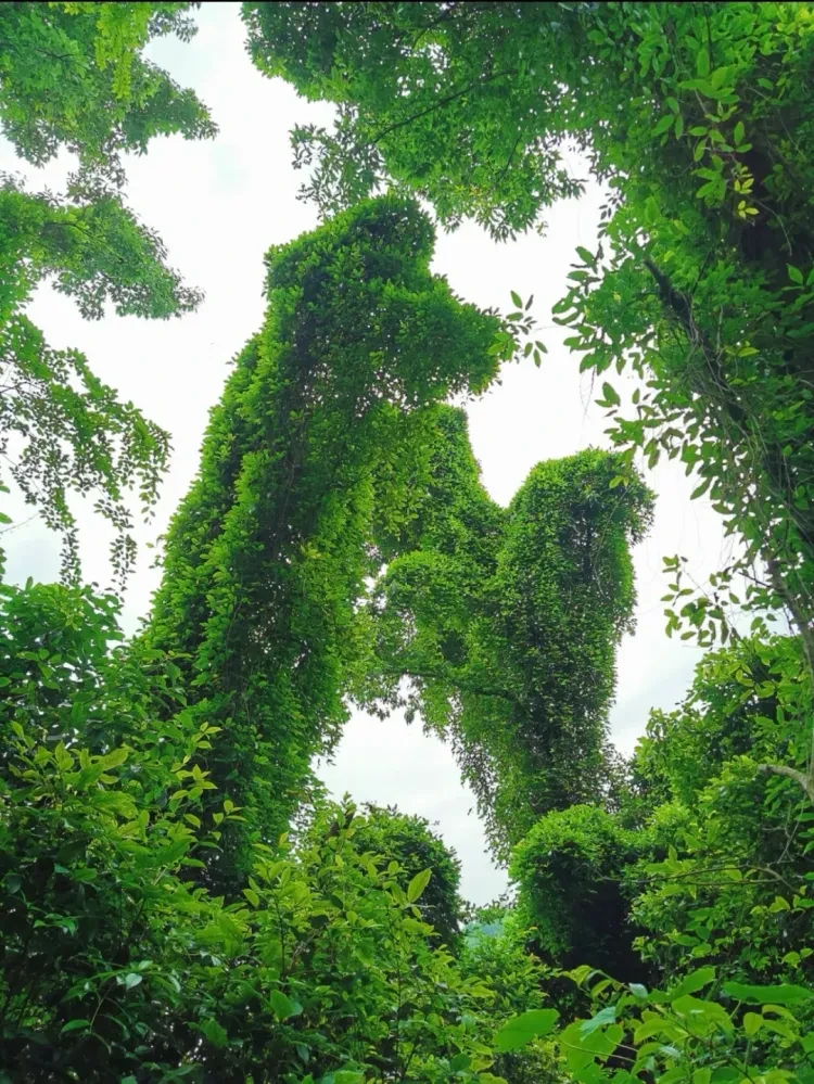 be2a29708e0b5250e632f5f4391966d9-sz_3684048