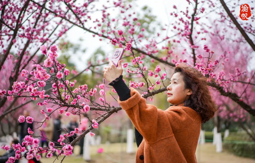 bea0c354be9800aa81378aec7f4879d7-sz_907774