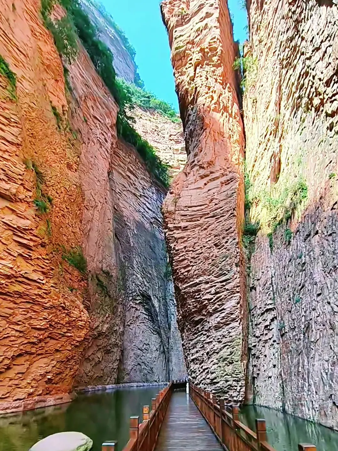 bed7899e5bfe6c2740df6468cf81a723-sz_746408