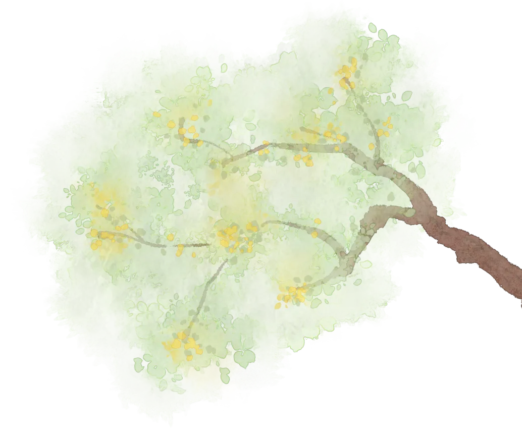 bef9f903b2d36cff3ebb6f1c10d3215e-sz_2939542