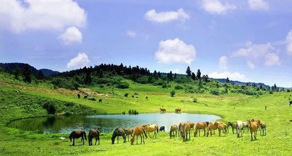 bf101f6a20a6812a07dbb89b8a22a198-sz_45671