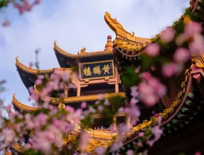 bf41dfa120f99cbcff2059c540d048d4-sz_215293