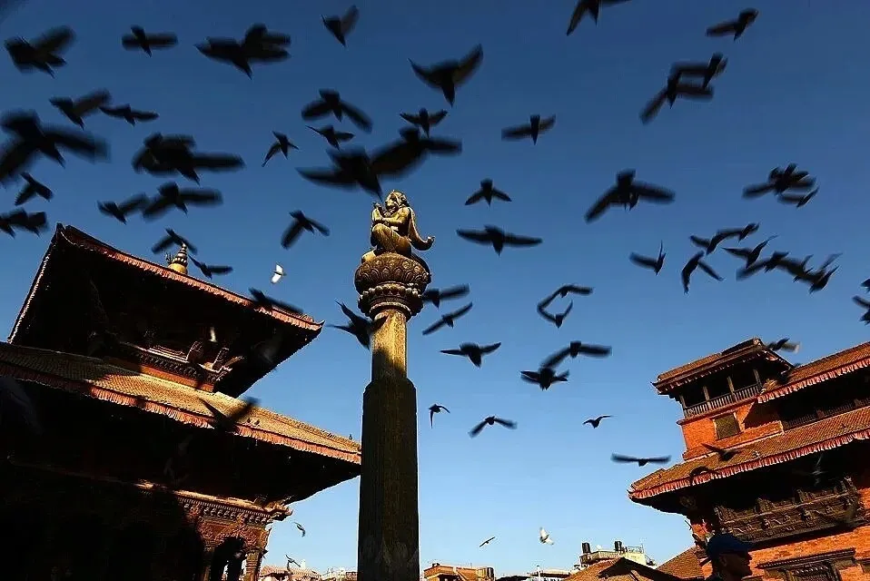 bf4a9e99fedc8a634ba9cbb216ce644c-sz_142138-1