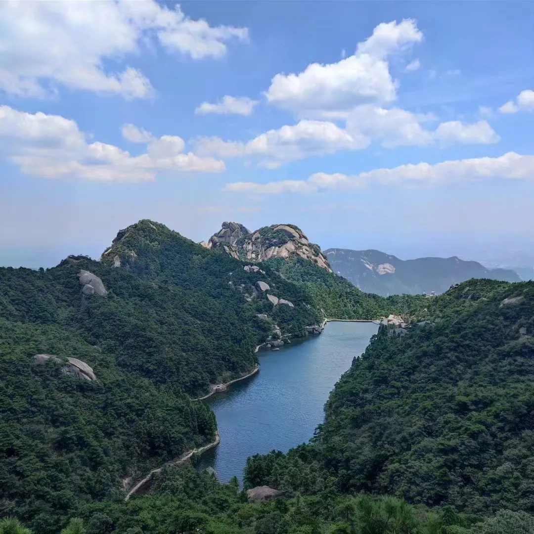 bf6f6547b8aa32346c0c99bb494066bf-sz_775036