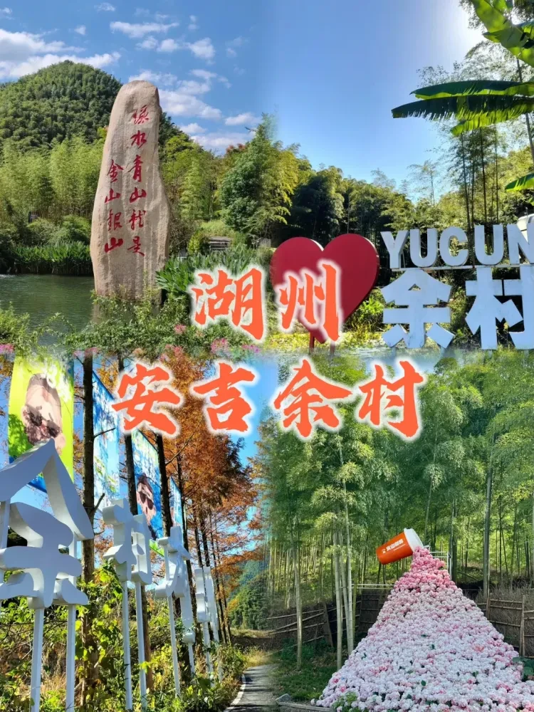 bf728f594b78b48c069343a293ea615c-sz_3796696