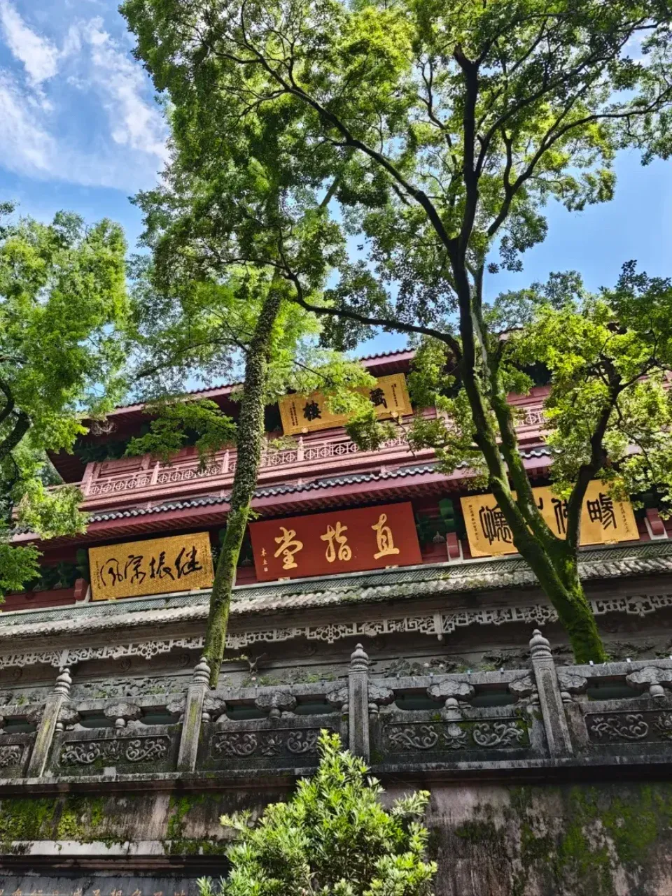 bf72b2495d0a397d1c1da9ad67ddf8c6-sz_2410122-1