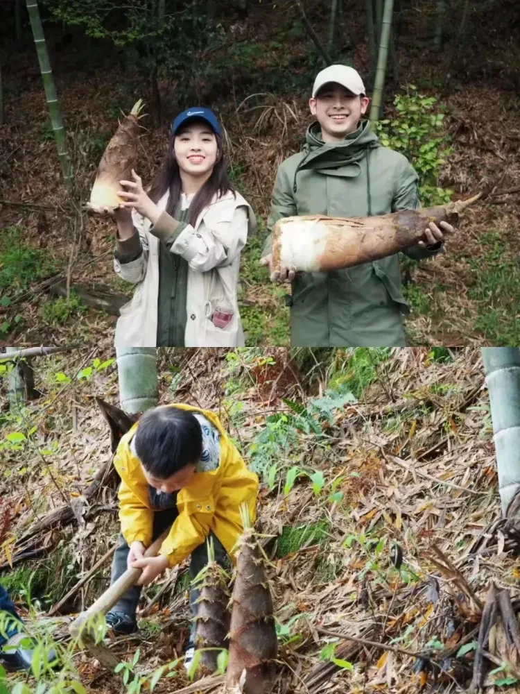 bfc66f284e29f02261cd65200356399b-sz_3858495