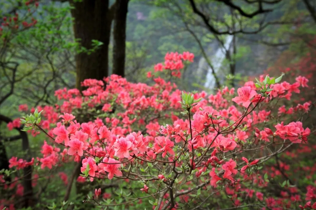 bfd6973f3b4a16478026f1523301335a-sz_569122