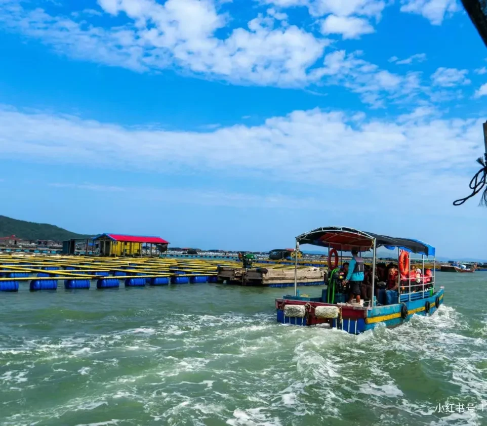 bfdbb6295c4612381070f42a4b4a6780-sz_921341